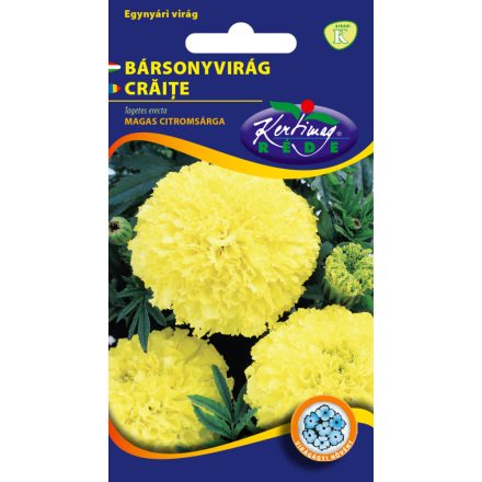 Bársonyvirág virágmag  nagyvirágú magas citromsárga