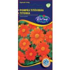 Pompás Titóvirág Pásztortűz virágmag narancssárga