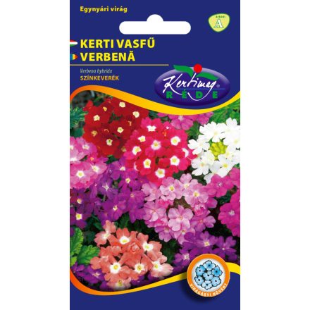 Vasfű virágmag Verbena hybrida színkeverék