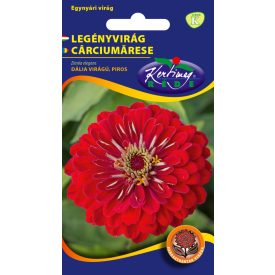 Legényvirág virágmag  Dália virágú Piros