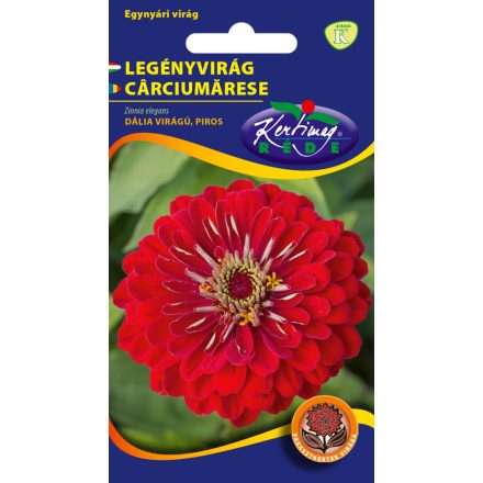Legényvirág virágmag  Dália virágú Piros