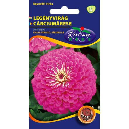 Legényvirág virágmag  Dália virágú Lila