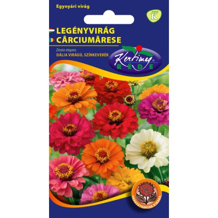 Legényvirág virágmag  Dália virágú Színkeverék