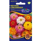 Rézvirág kaktusz virágú virágmag színkeverék