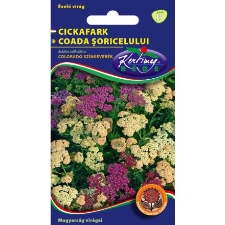 Cickafark virágmag Achillea millefolium színkeverék