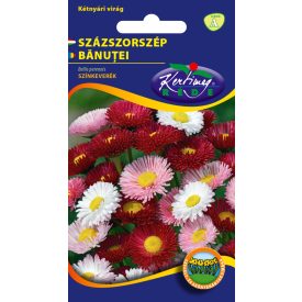 Százszorszép virágmag színkeverék