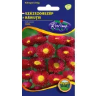 Százszorszép virágmag piros