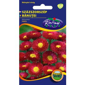 Százszorszép virágmag piros