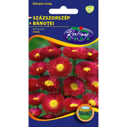 Százszorszép virágmag piros