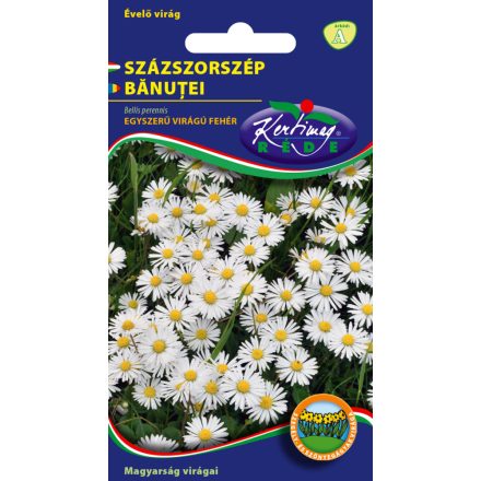 Százszorszép egyszerű kisvirágú virágmag 