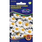 Óriás Margitvirág virágmag Leucanthemum fehér
