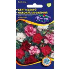 Kerti szegfű virágmag Dianthus car.Grenadin színkeverék