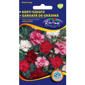Kerti szegfű virágmag Dianthus car.Grenadin színkeverék