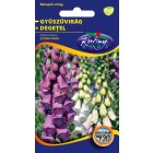 Gyűszűvirág virágmag Digitalis purpurea színkeverék