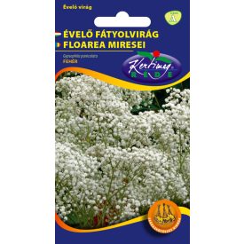  Évelő fátyolvirág virágmag gypsophilla paniculata fehér