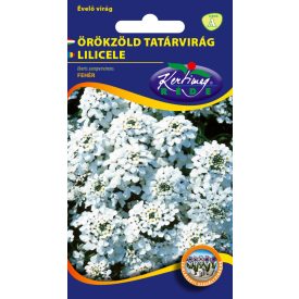 Örökzöld tatárvirág virágmag Iberis sempervirens