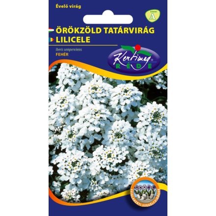 Örökzöld tatárvirág virágmag Iberis sempervirens