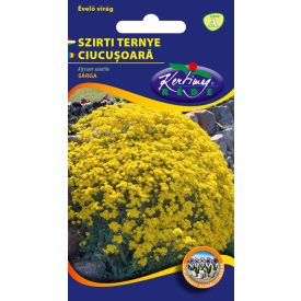Szirti ternye virágmag Alyssum saxatile