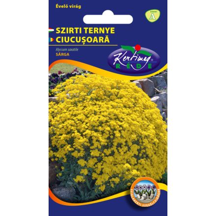 Szirti ternye virágmag Alyssum saxatile