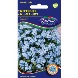 Nefelejcs virágmag Myosotis sylvatica alacsony