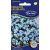 Nefelejcs virágmag Myosotis sylvatica alacsony