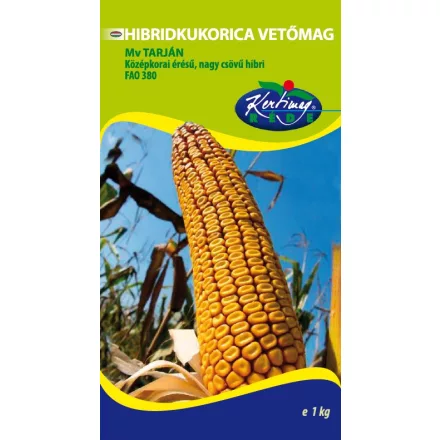 Hibridkukorica Mv Tarján vetőmag 1kg