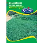 Zöldszőnyeg vetőmag Dichondra 50g