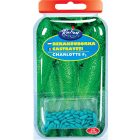 Uborka mag  Charlotte F1 50 szem