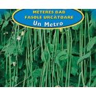 Zöld Méteres bab, Spárgabab Un Metro 30g