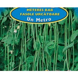 Zöld Méteres bab, Spárgabab Un Metro 30g