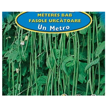Zöld Méteres bab, Spárgabab Un Metro 30g
