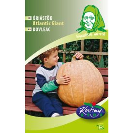 óriás virágmag tök mag  Atlantic giant 6szem