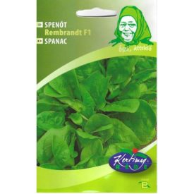 Spenót mag  Rembrandt F1 3g