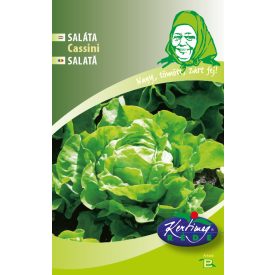 Fejessaláta mag  Cassini - nyári 3g