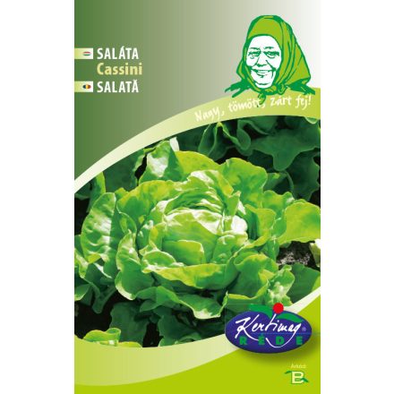 Fejessaláta mag  Cassini - nyári 3g