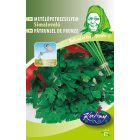 Metélőpetrezselyem mag Simalevelű 5g