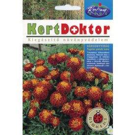 Bársonyvirág virágmag  Petit Harmony narancs-barba 2g