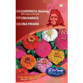   Rézvirág Legényrózsa Dália virágú virágmag színkeverék 2g