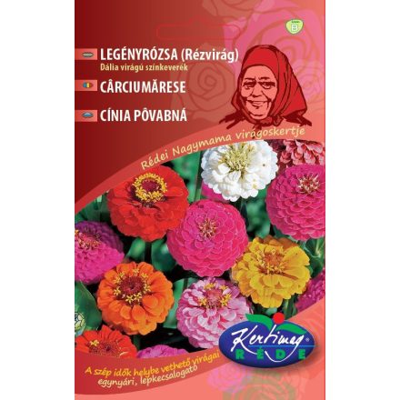 Legényrózsa Dália virágú virágmag színkeverék 2g
