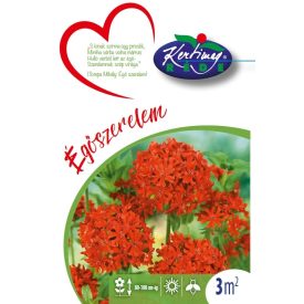   Színek és hangulatok Gondolok Rád - Égőszerelem virágmag keverék 3g