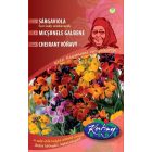 Sárgaviola Fair Lady virágmag színkeverék 2g