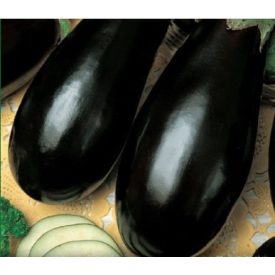 Padlizsán mag  Tojásgyümölcs Néro 25g