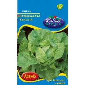   Fejessaláta vetőmag Humil Téli vajfej áttelelő NAGY kiszerelés 50g