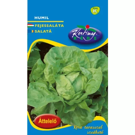 Fejessaláta vetőmag Humil Téli vajfej áttelelő NAGY kiszerelés 50g