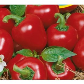 Cseresznyepaprika mag  óriás virágmag cseresznye 5g