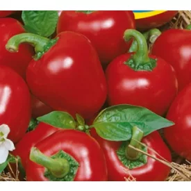   Cseresznyepaprika vetőmag óriás cseresznye NAGY kiszerelés 5g