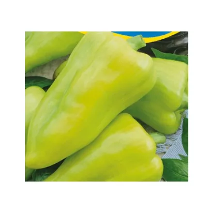 Étkezési paprika vetőmag Faludi 5g NAGY kiszerelés