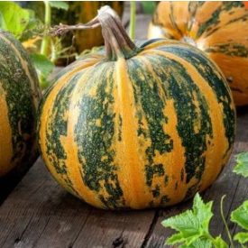 Olajtök mag  Olga 50g