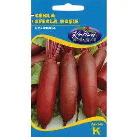 Cékla Cylindra hengeres vetőmag NAGY kiszerelés 50g