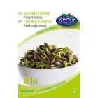 Napraforgó csíráztatni való mag BIO Helianthus annuus 30g